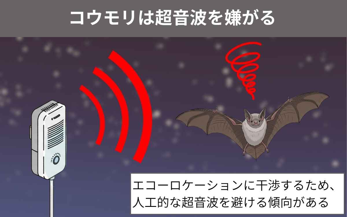 コウモリは超音波を嫌がる