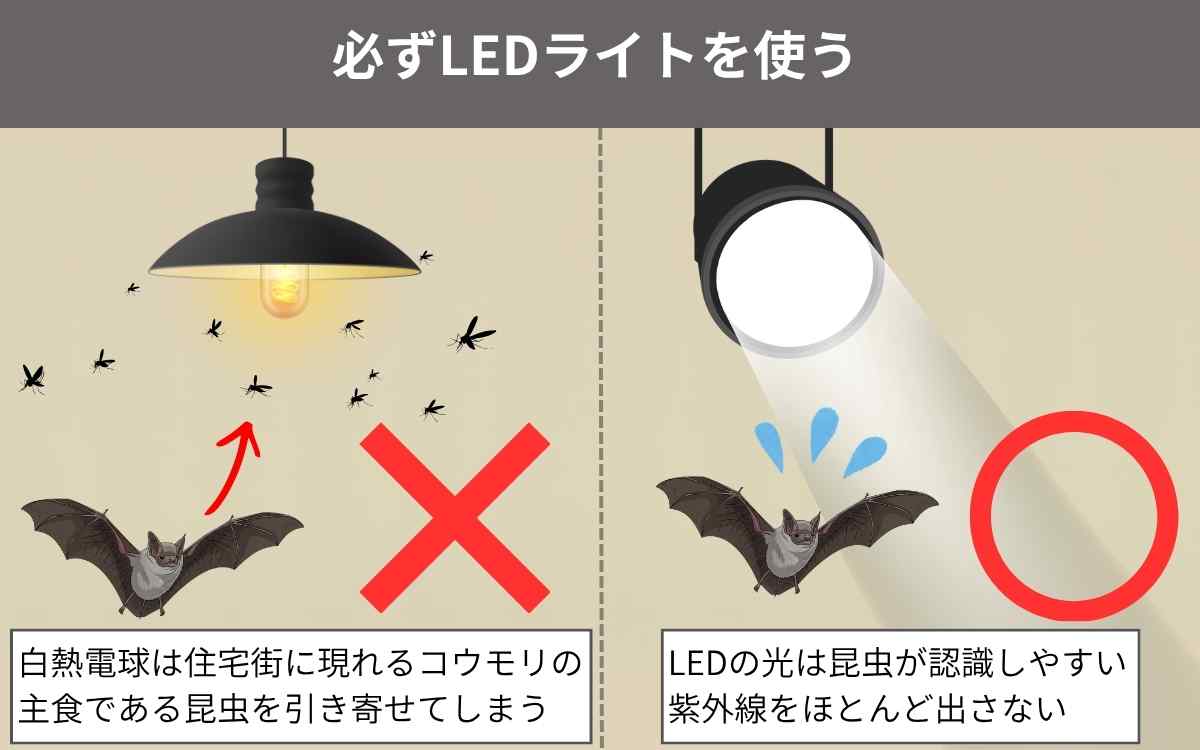 コウモリ対策にはLEDライトを使う