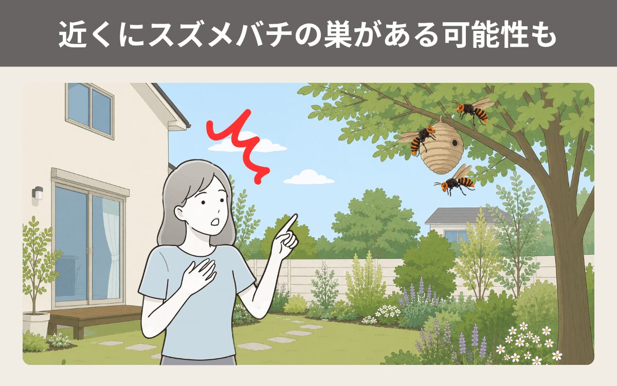 スズメバチが家の中に入ってきたら近くに巣がある可能性も