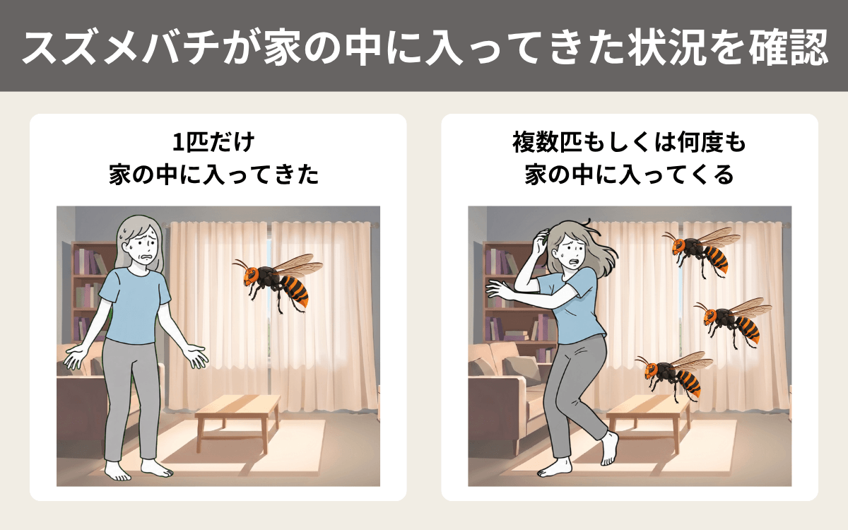 スズメバチが家の中に入ってきた状況を確認