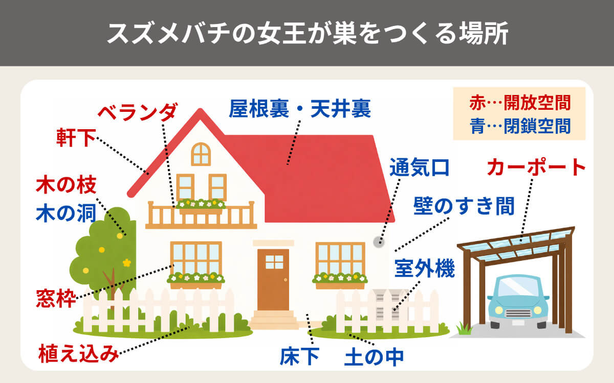 スズメバチが巣をつくる場所