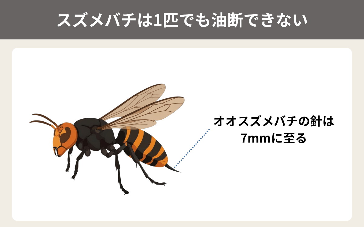 スズメバチは1匹でも油断できない