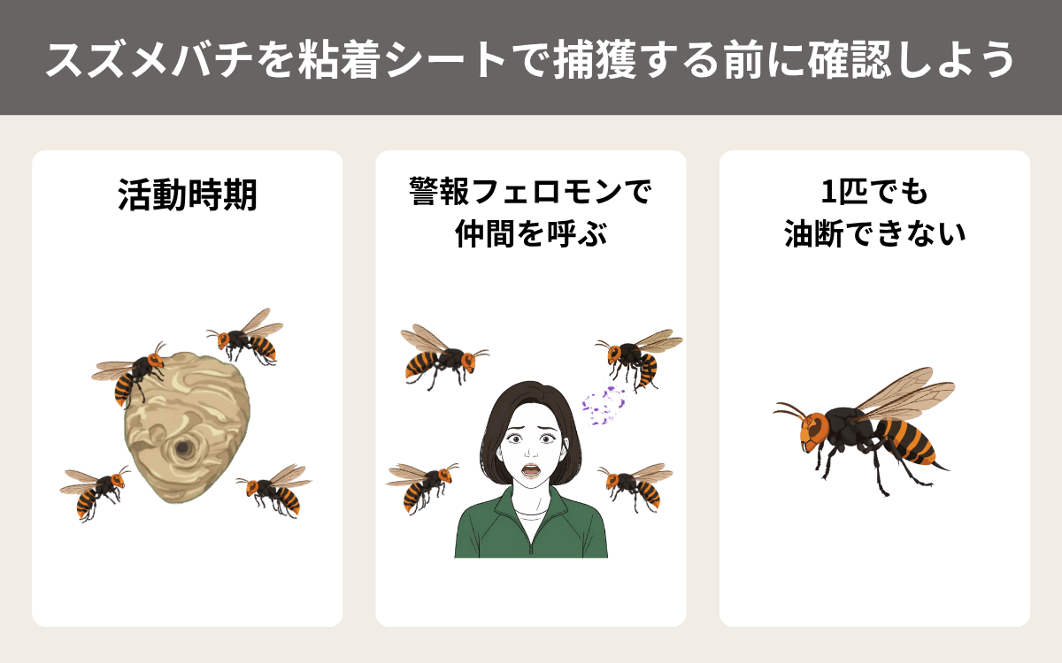 スズメバチを粘着シートで捕獲する前に確認しよう