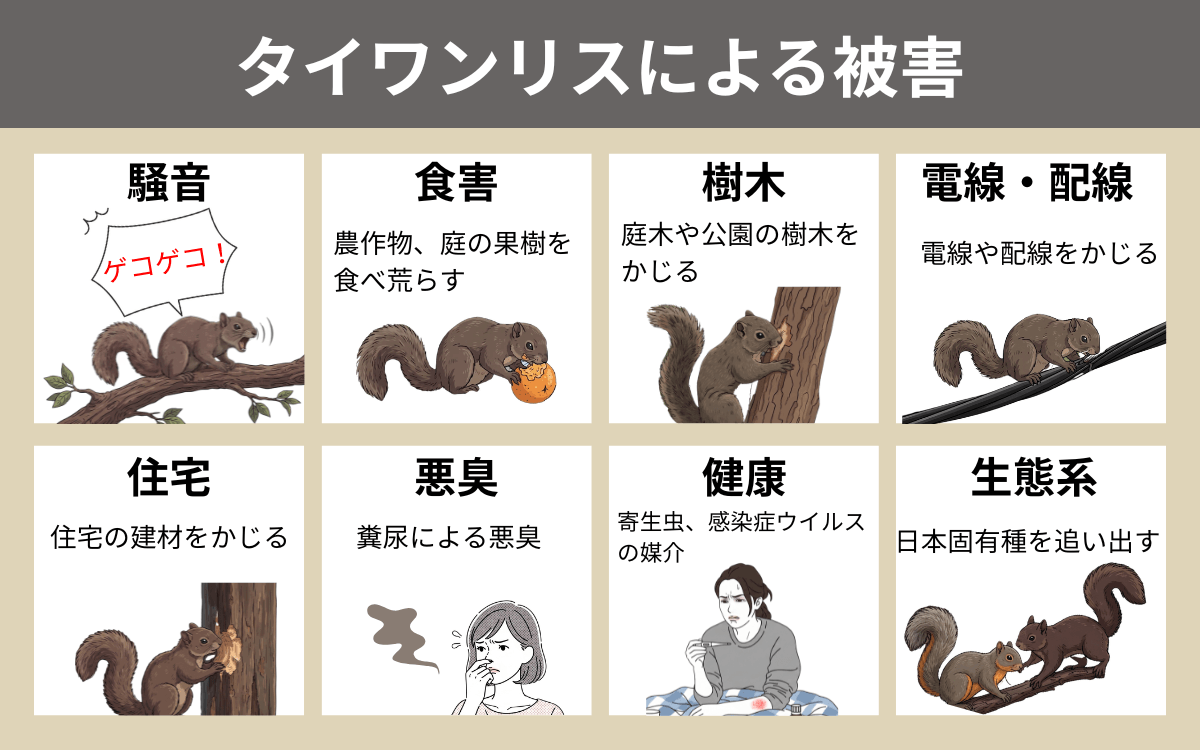 タイワンリスによる被害