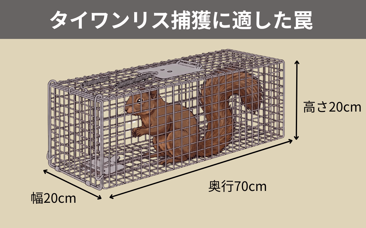 タイワンリス捕獲に適した罠