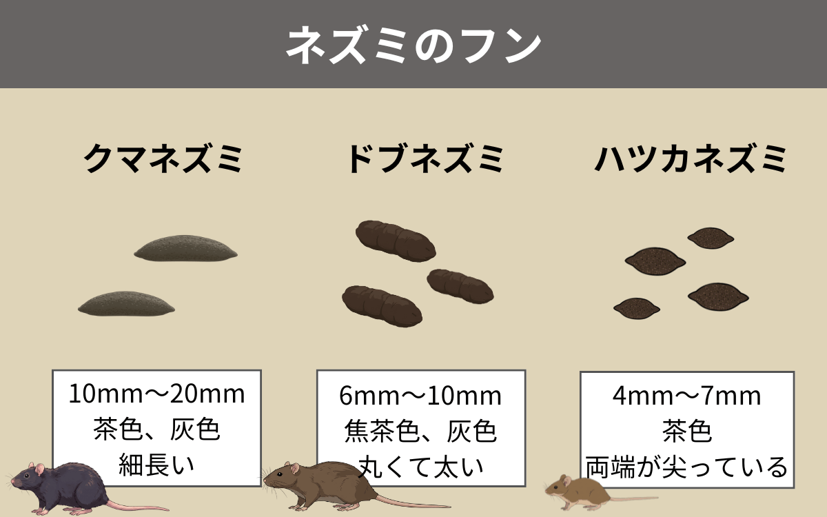 ネズミのフン