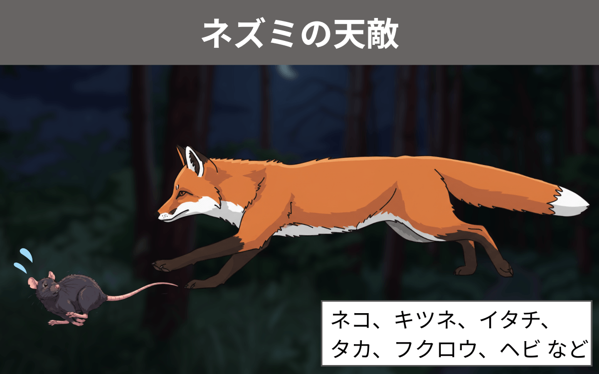ネズミの天敵