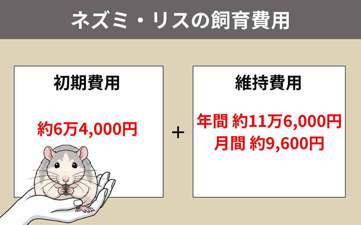 ネズミ・リスの飼育費用