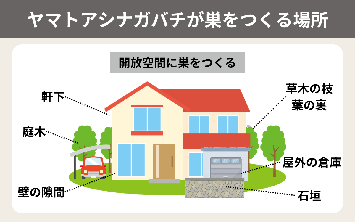 ヤマトアシナガバチが巣をつくる場所