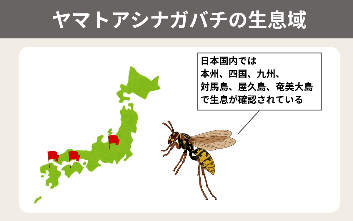 ヤマトアシナガバチの生息域