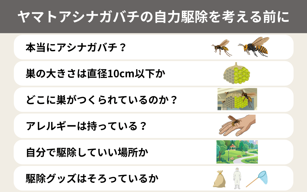 ヤマトアシナガバチの自力駆除を考える前に