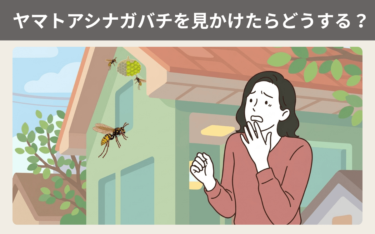 ヤマトアシナガバチを見かけたらどうする？