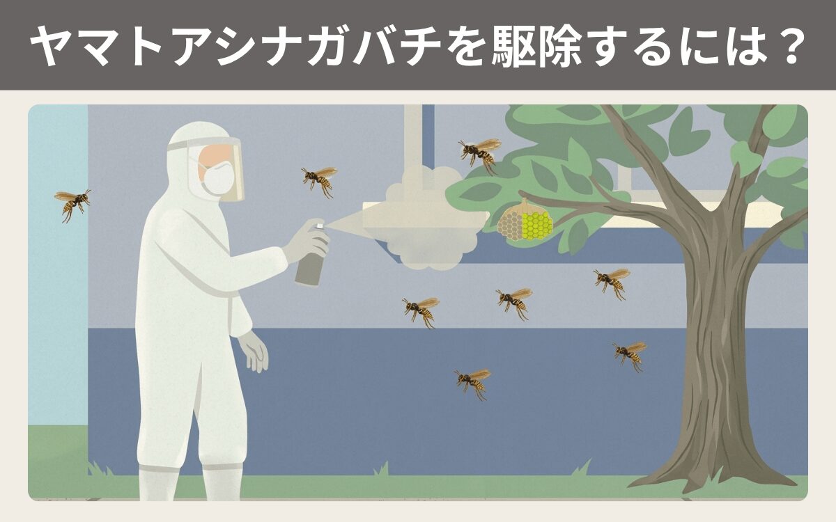 ヤマトアシナガバチを駆除するには？