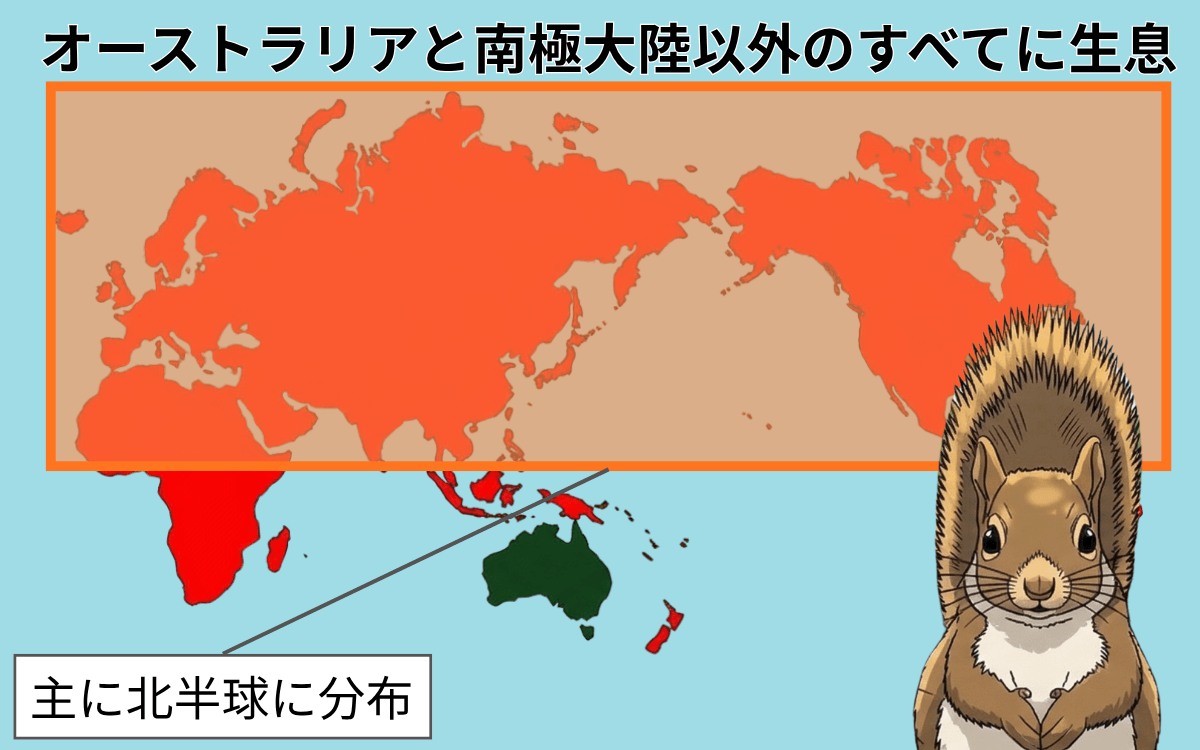 リスの生息地