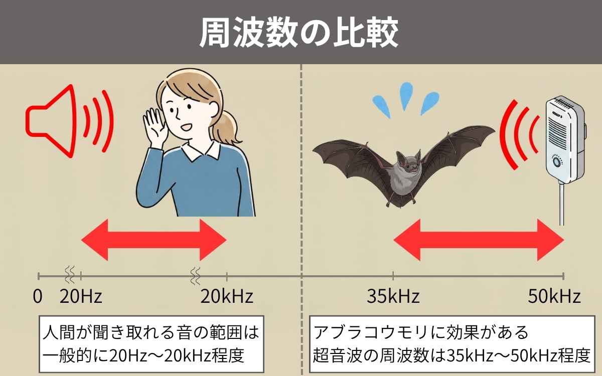 基本的に人間には聞こえない