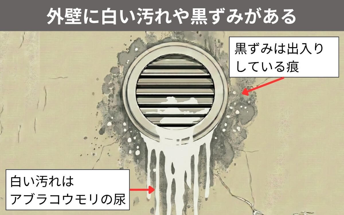 外壁に白い汚れや黒ずみがある