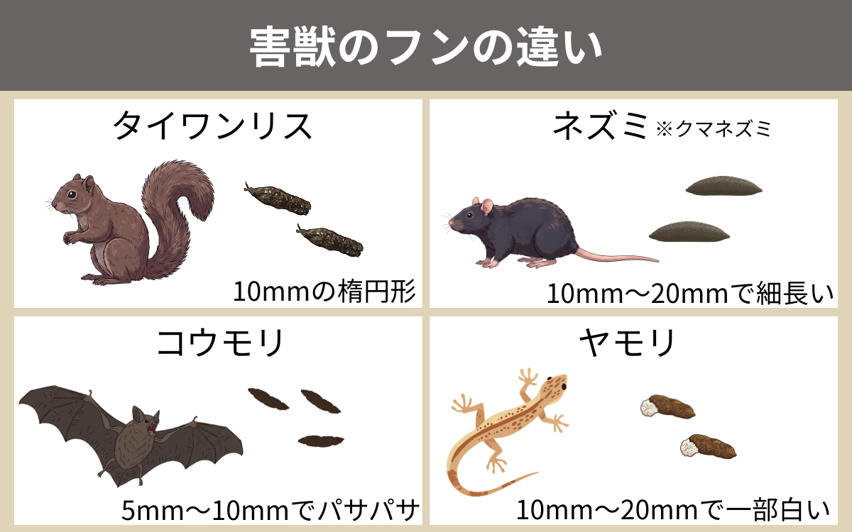 害獣のフンの違い