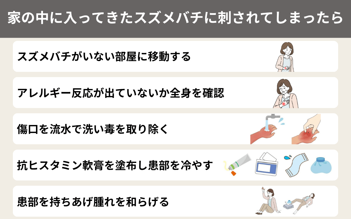 家の中に入ってきたスズメバチに刺されてしまったら