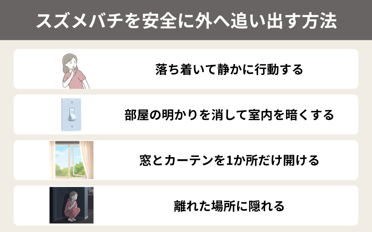 家の中に入ってきたスズメバチを安全に外へ追い出す方法