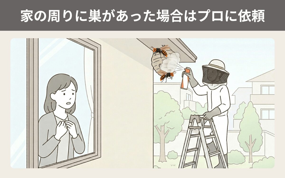 家の周りに巣があった場合はプロに依頼したほうが安心