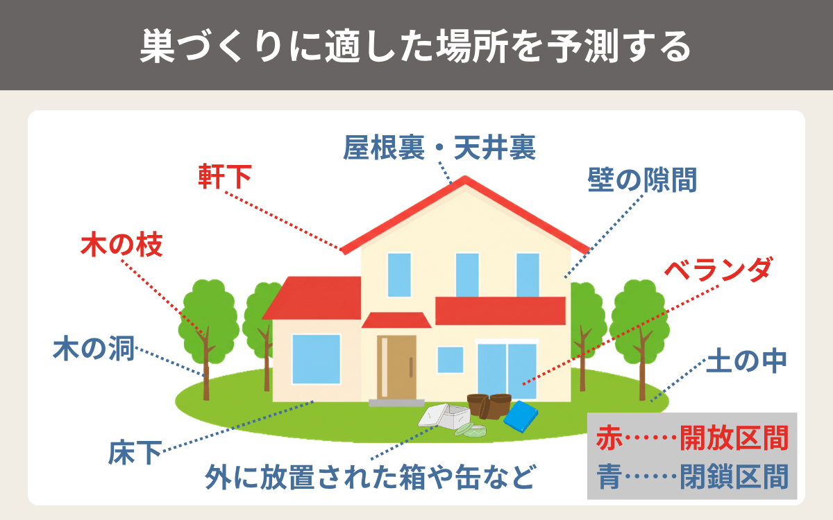 巣づくりに適した場所を予測する