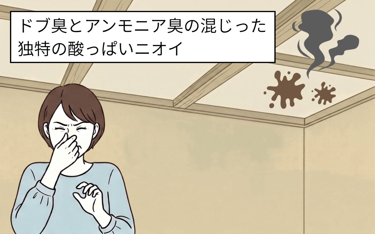 悪臭被害 1 1