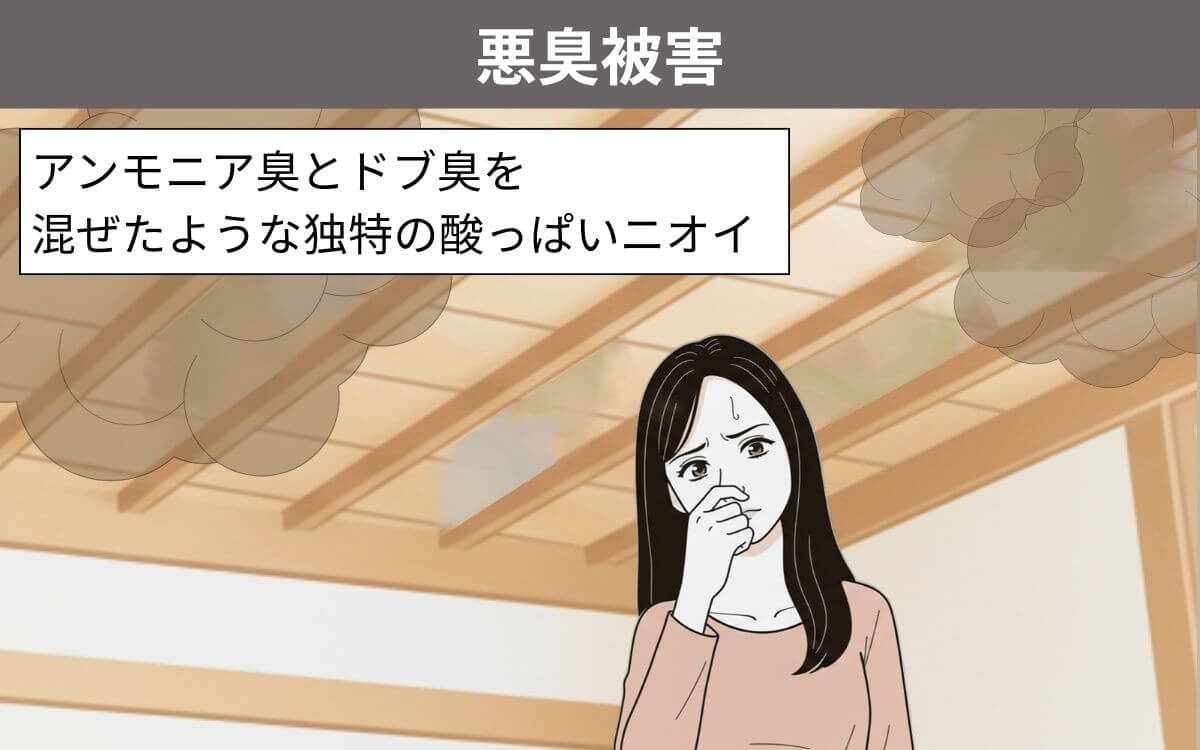 悪臭被害