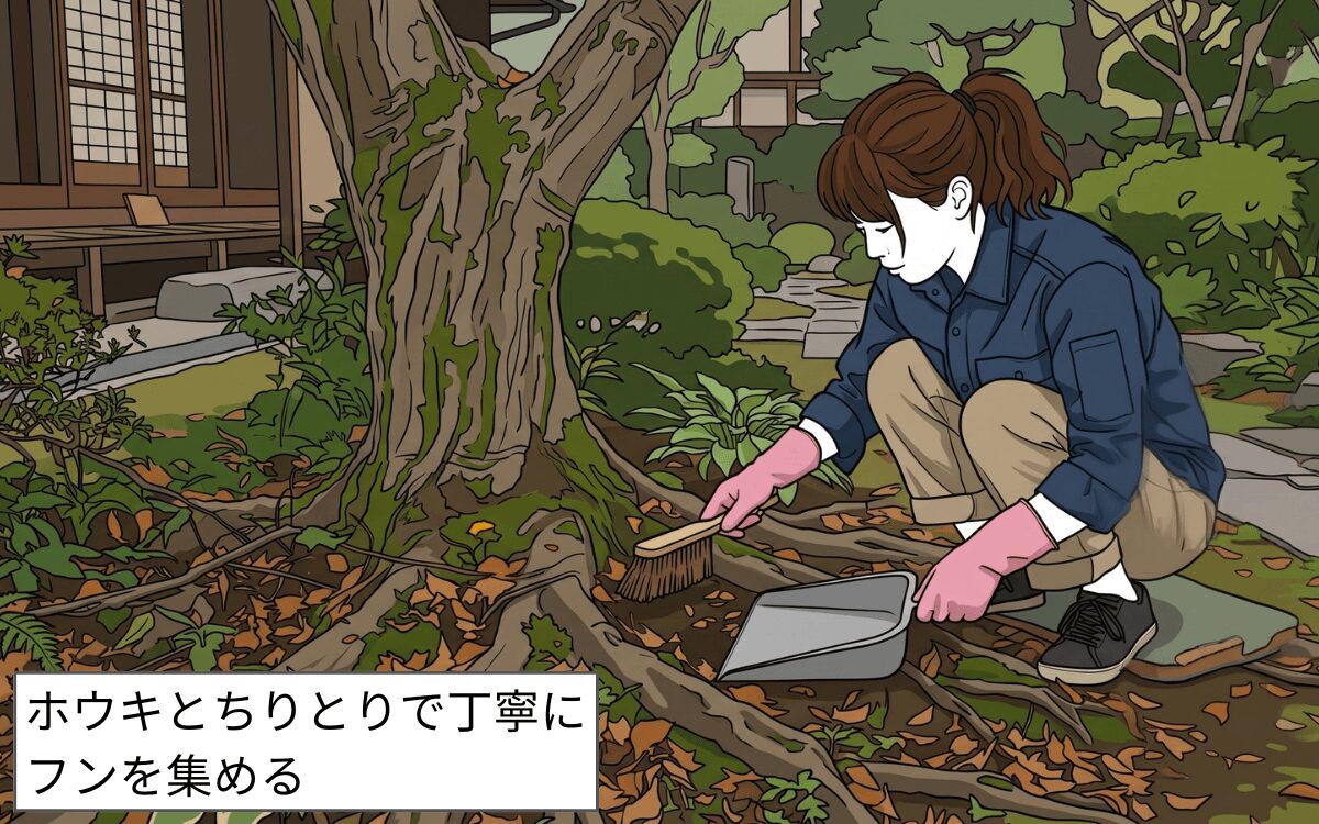 手順②ホウキとちりとりでフンを集める
