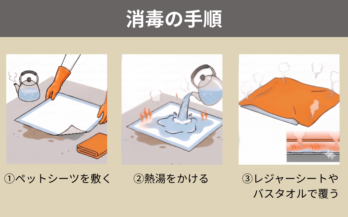 手順④フンが落ちていた場所を消毒する
