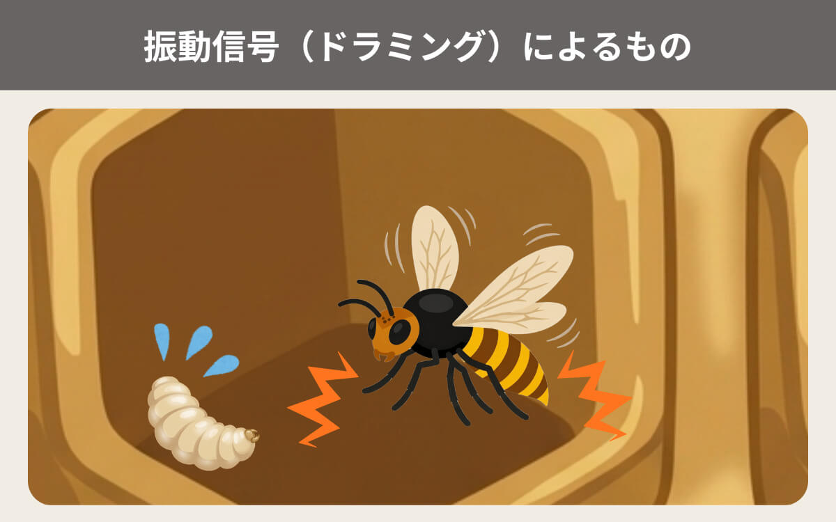 振動信号（ドラミング）によるもの