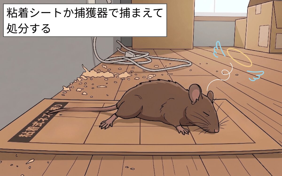 捕獲する方法
