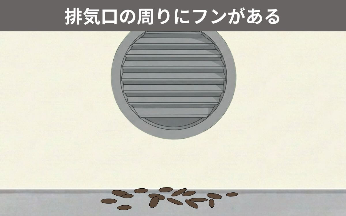 排気口の周りにフンがある