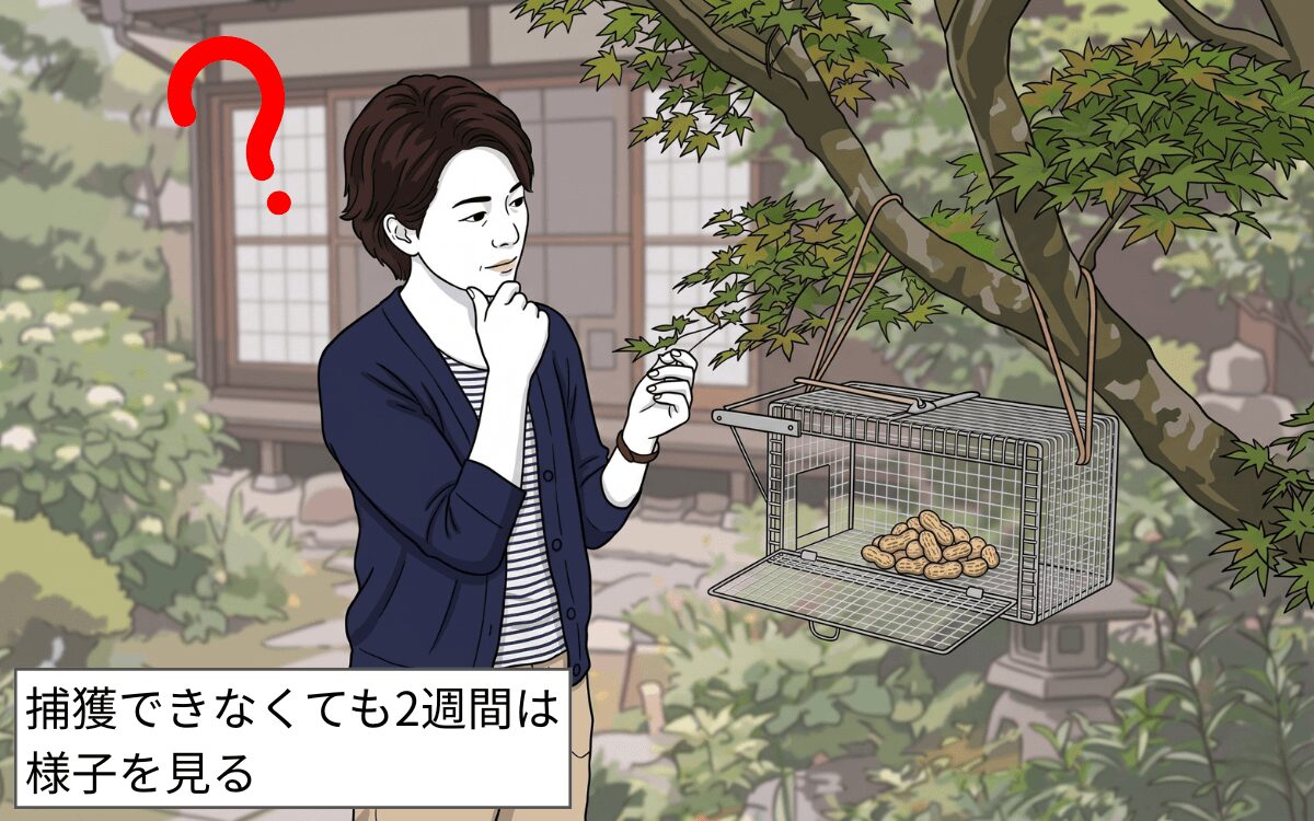 最低でも2週間様子を見る