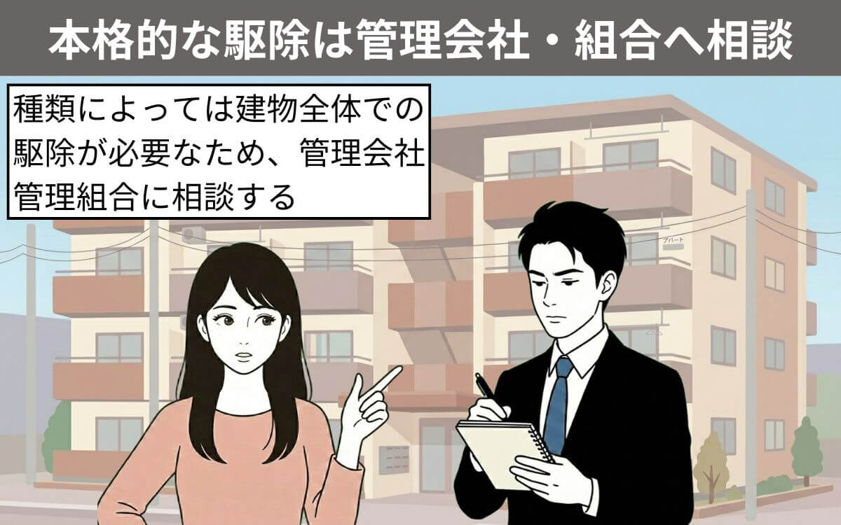 本格的な駆除は管理会社・管理組合へ相談