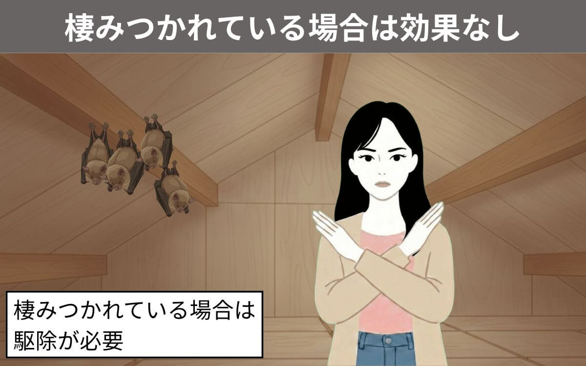 棲みついている場合は効果なし