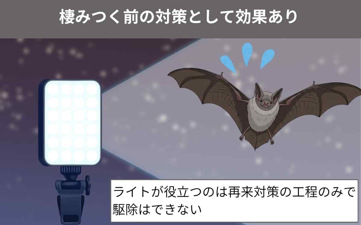 棲みつく前の対策として効果あり