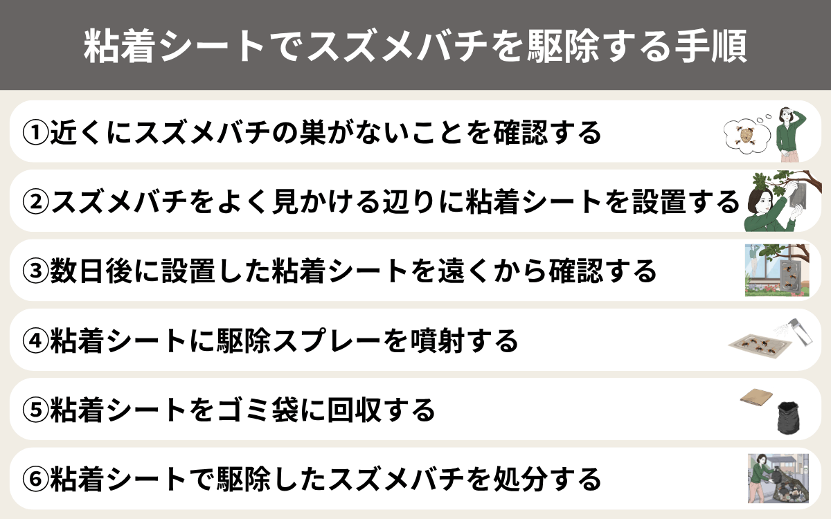 粘着シートでスズメバチを駆除する手順