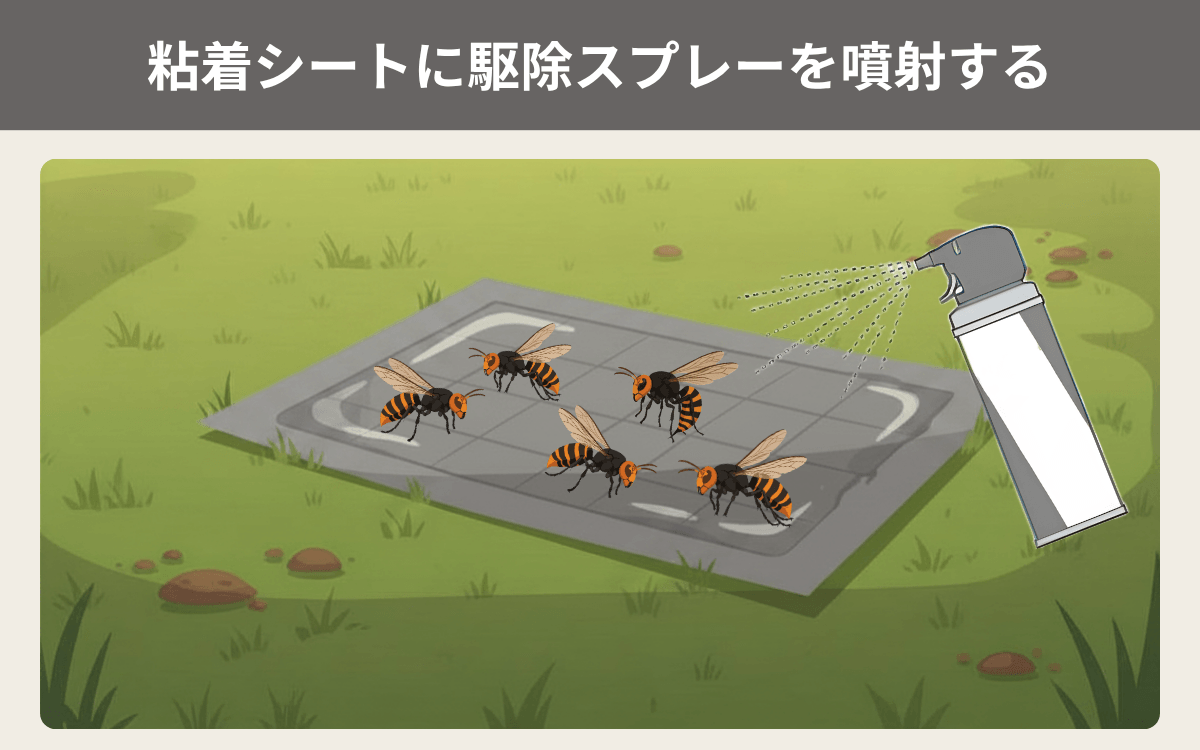 粘着シートに駆除スプレーを噴射する