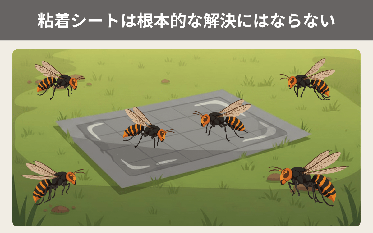 粘着シートは根本的な解決にはならない