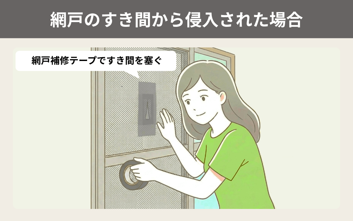 網戸のすき間
