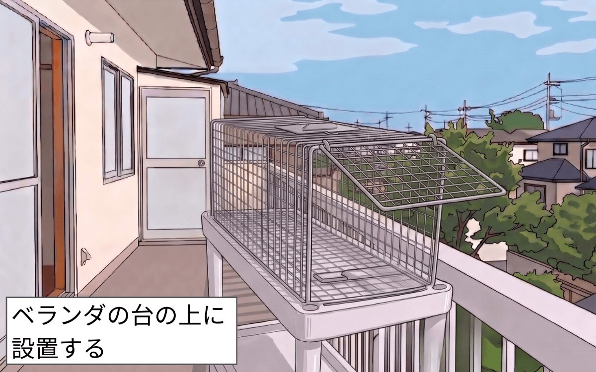 罠の設置場所④ベランダ