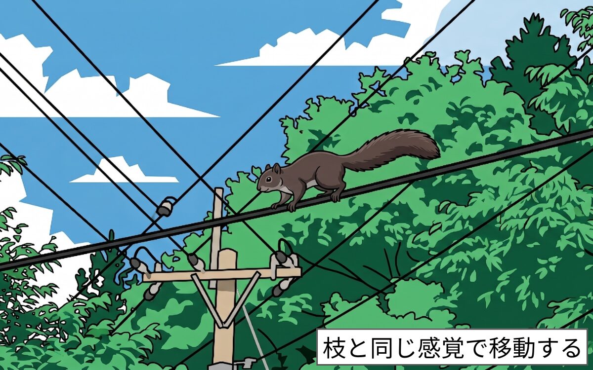 電線