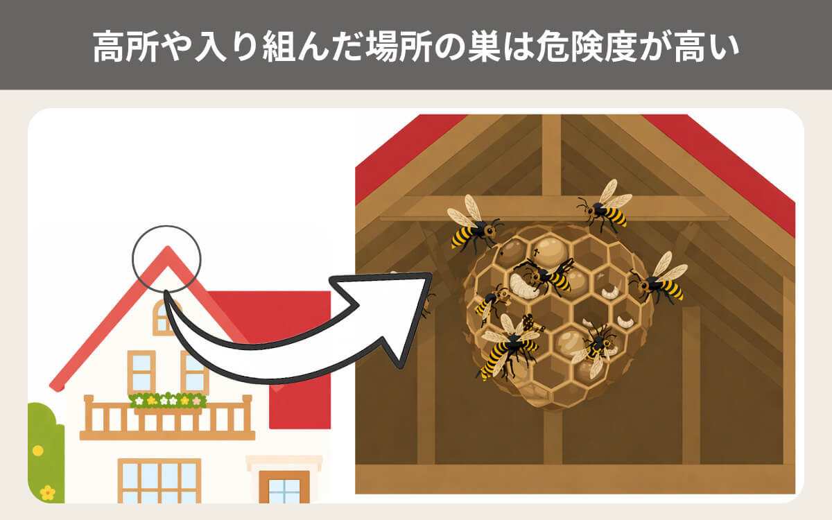 高所や入り組んだ場所の巣は危険度が高い