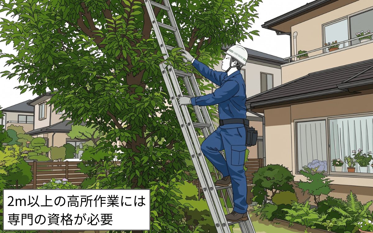 2m以上の高所作業