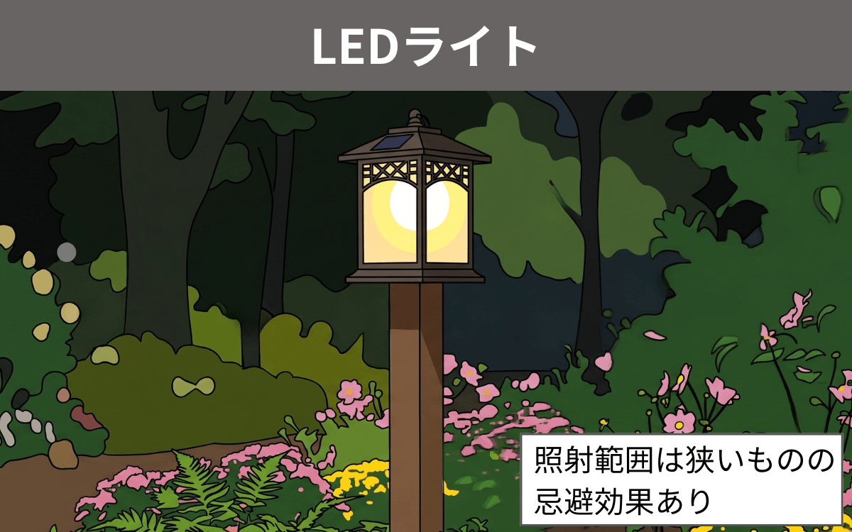 LEDライト