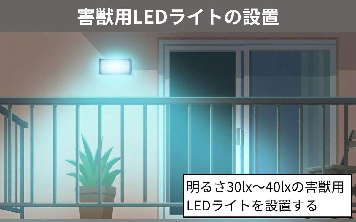 LEDライトの設置