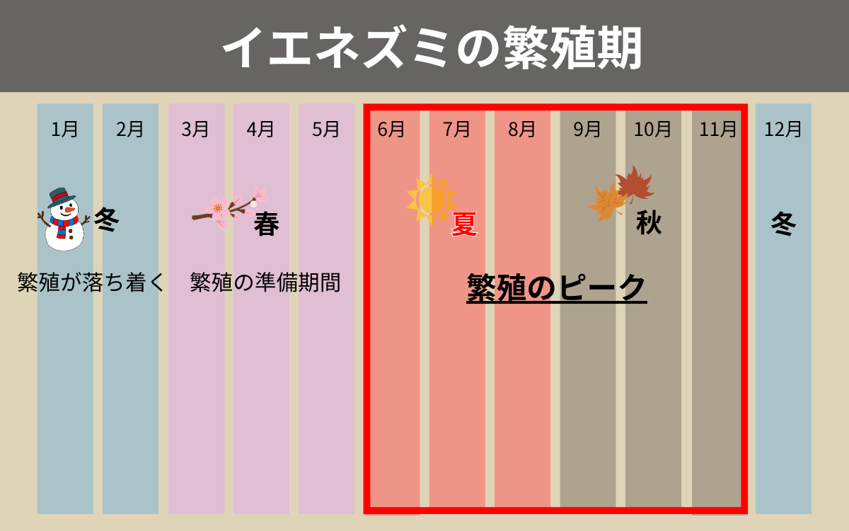 イエネズミの繁殖期