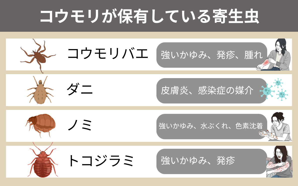 コウモリが保有している寄生虫 1