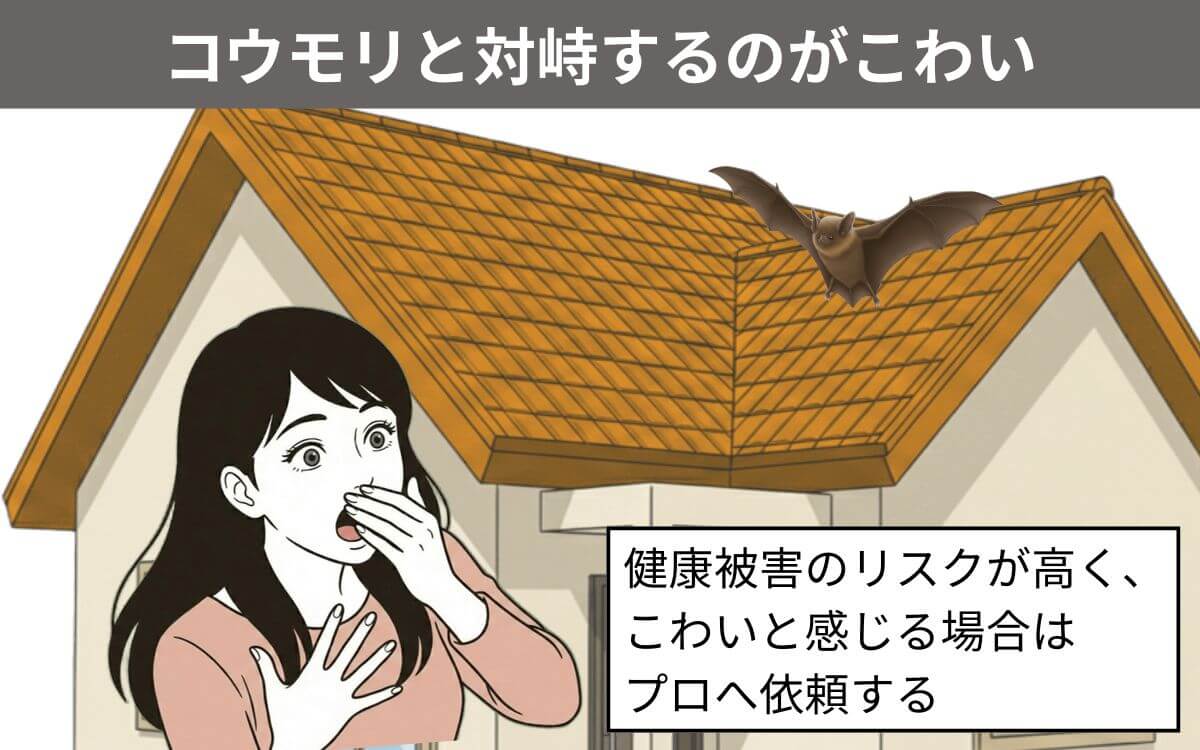 コウモリと対峙するのがこわい