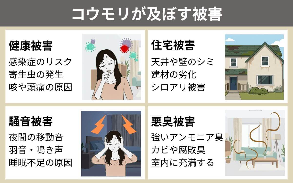 コウモリによる被害